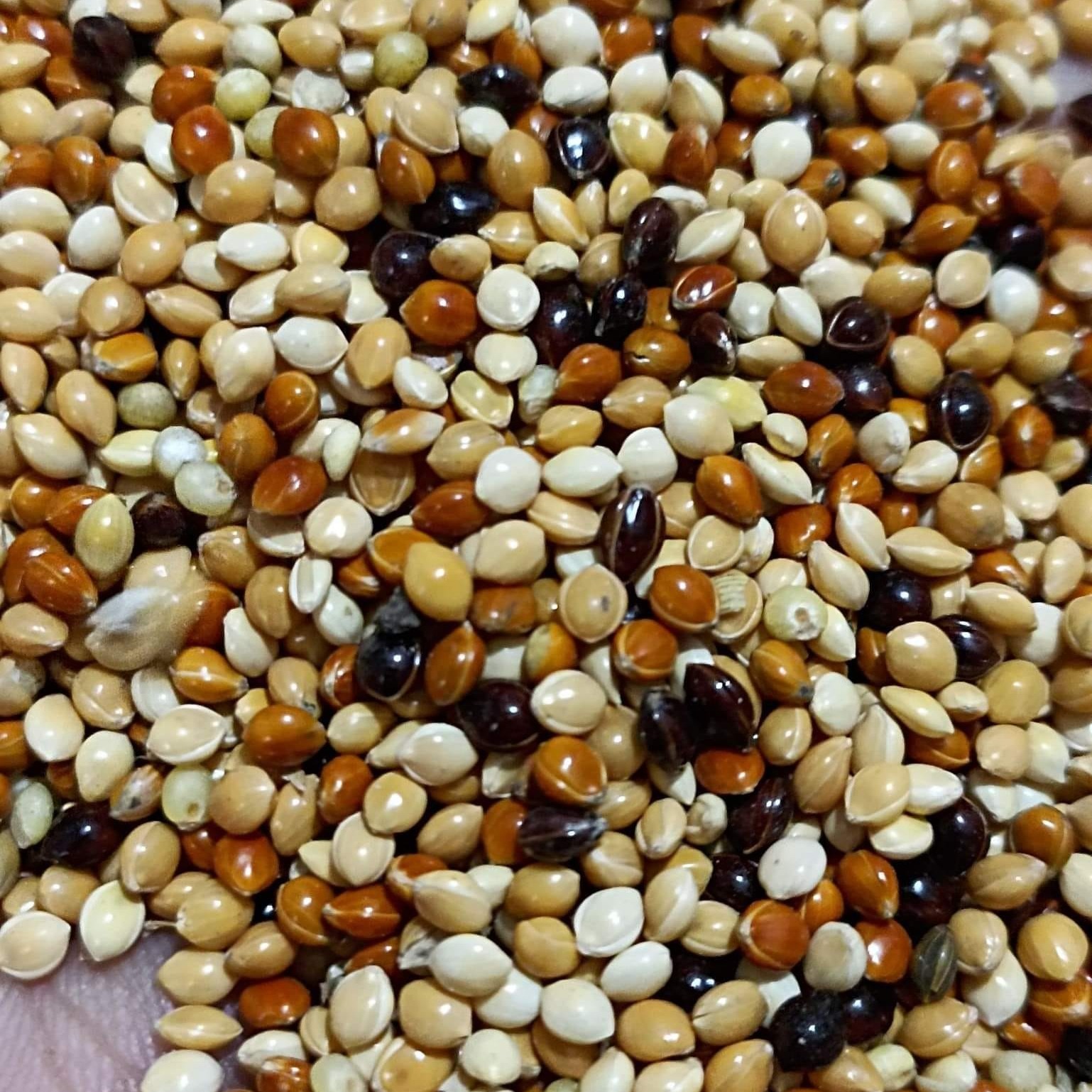 Millet Mix