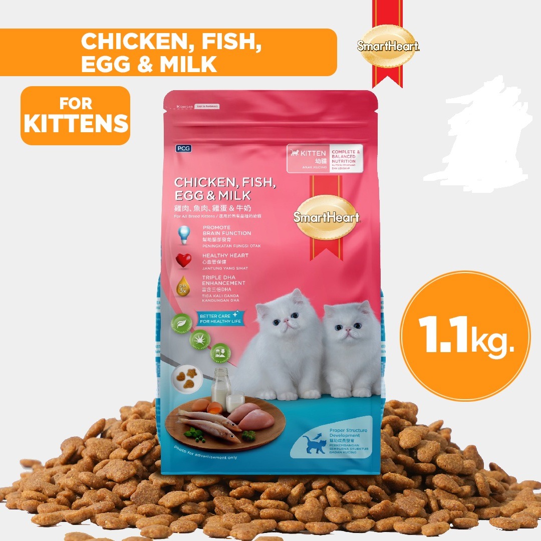Smartheart Kitten Dry Food 1.1 Kg Chicken, Fish, Egg & Milk