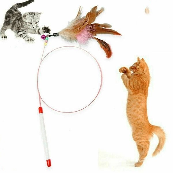 Cat Toy Feather String Cat Teaser Toy