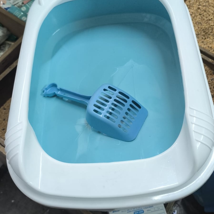 Large litter box